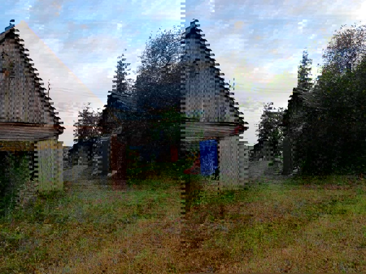 Lauku vienseta 