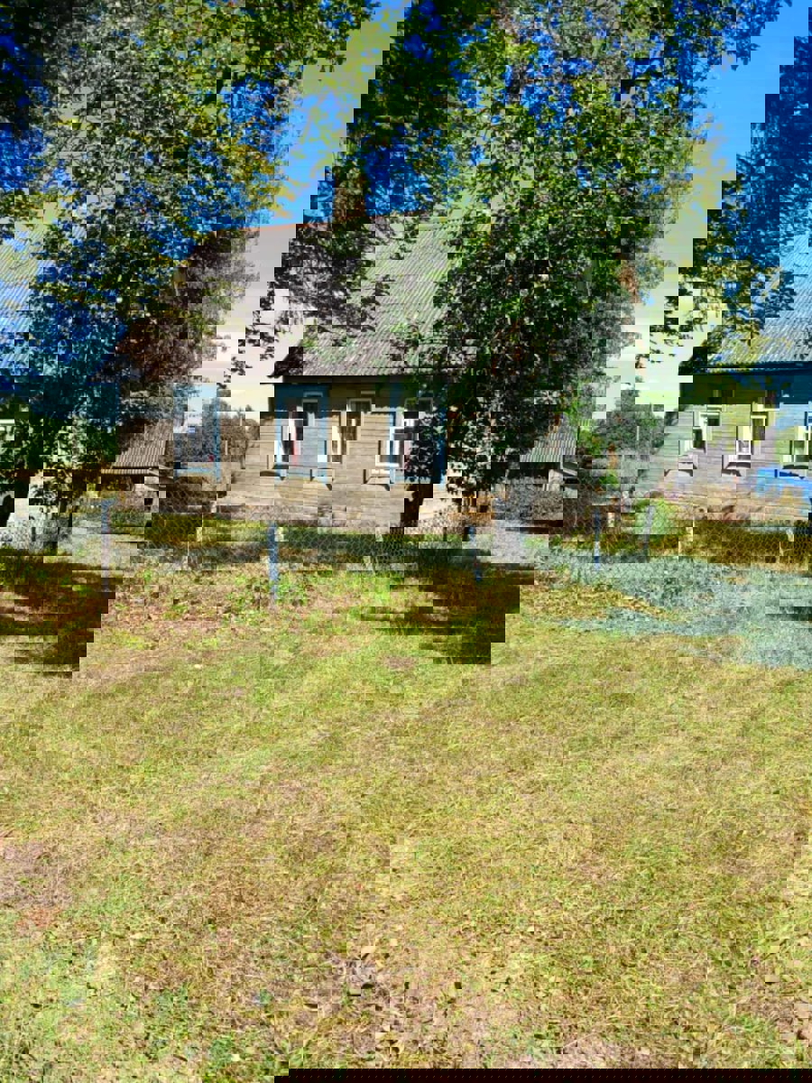 Lauku vienseta 