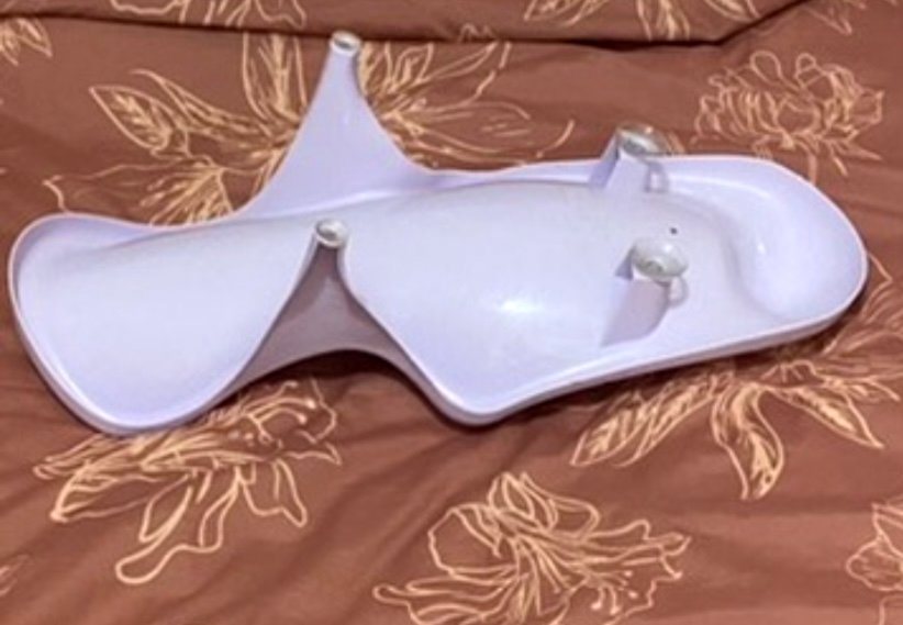 Vannas bērnu ieliknis