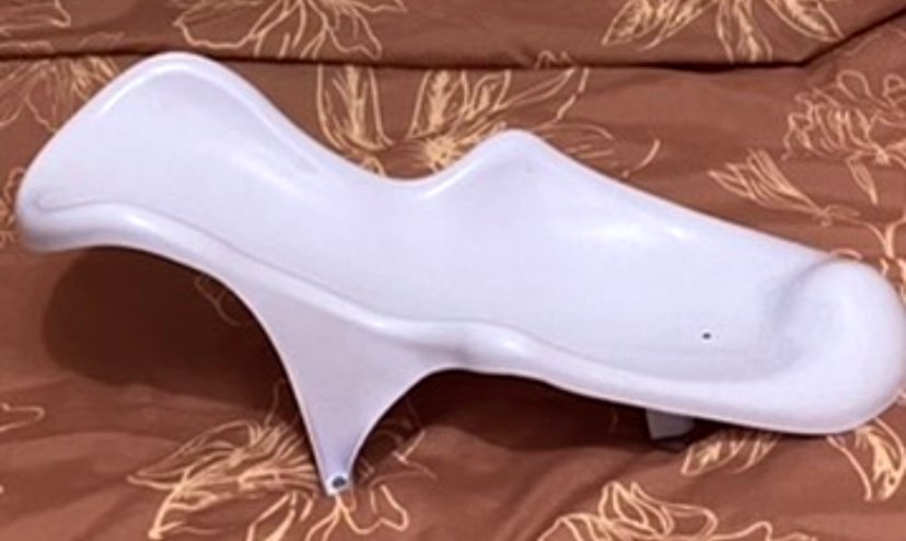 Vannas bērnu ieliknis