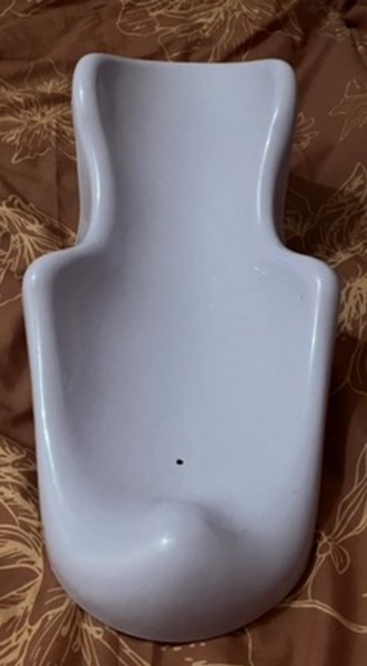 Vannas bērnu ieliknis