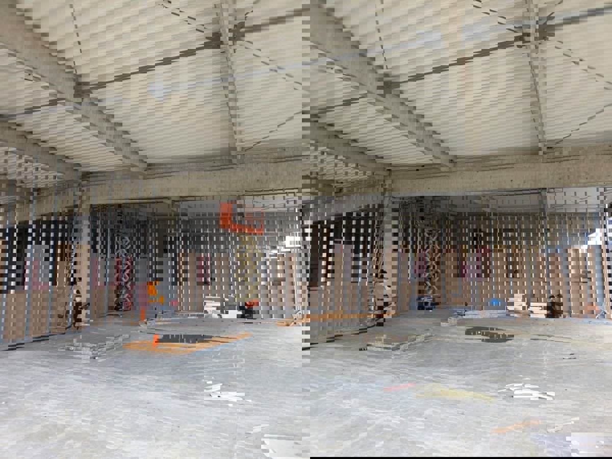 Professional Service Description