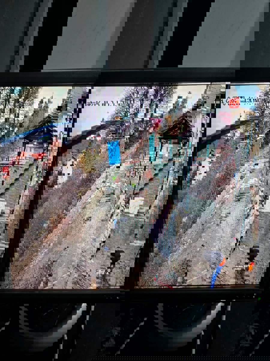 Professional Service Description