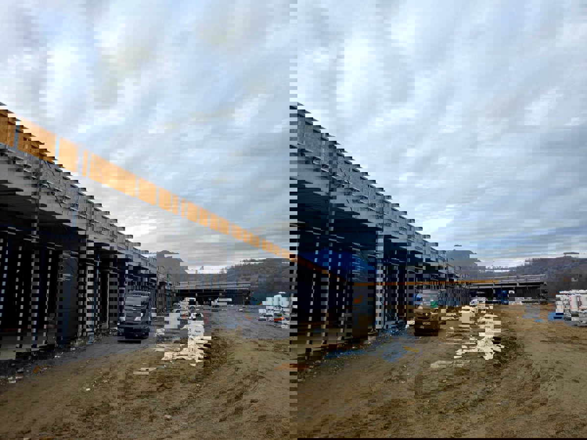 Professional Service Description