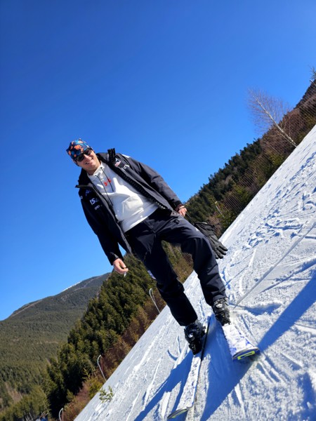 Professional Service Description